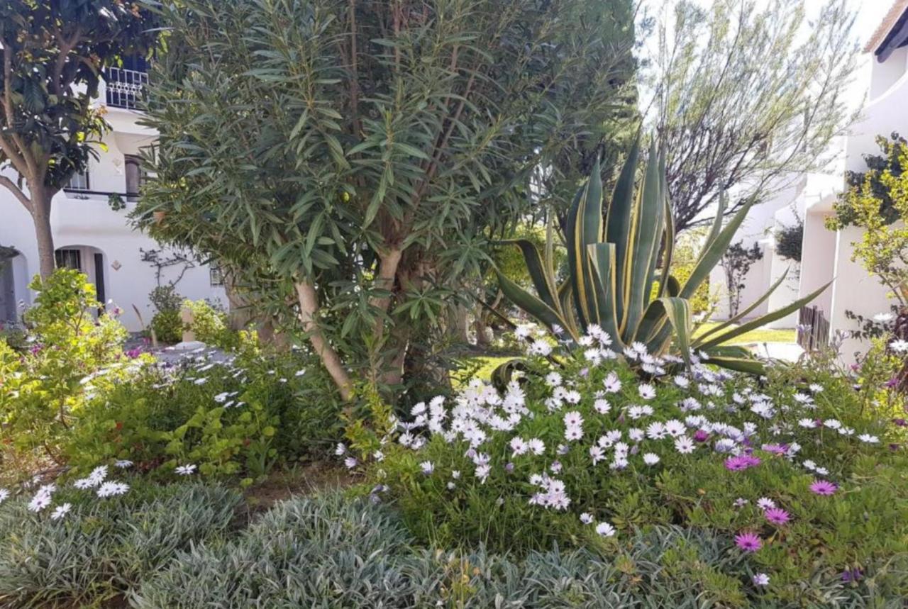 Apartment Sao Rafael Holidays البوفيرا المظهر الخارجي الصورة